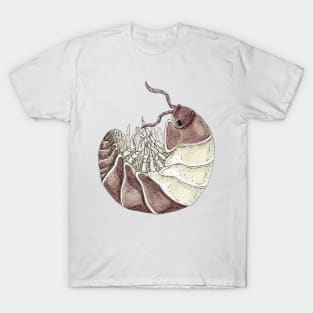 Cubaris sp. "Panda King" Isopod T-Shirt